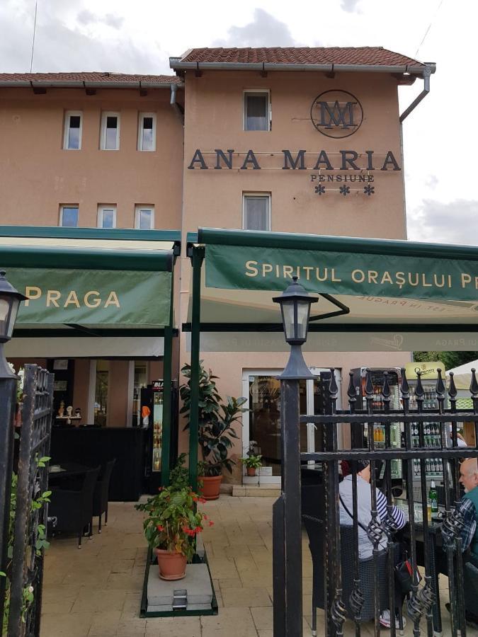 Pensiunea Ana Maria Băile Felix Exterior foto