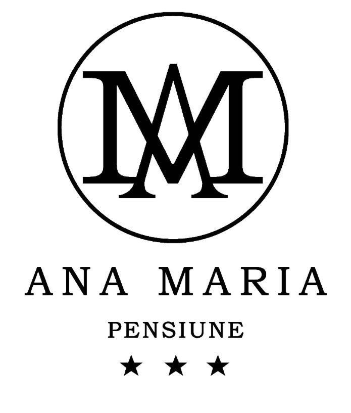 Pensiunea Ana Maria Băile Felix Exterior foto